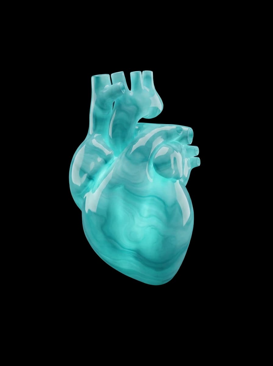 Cardiologia — coração