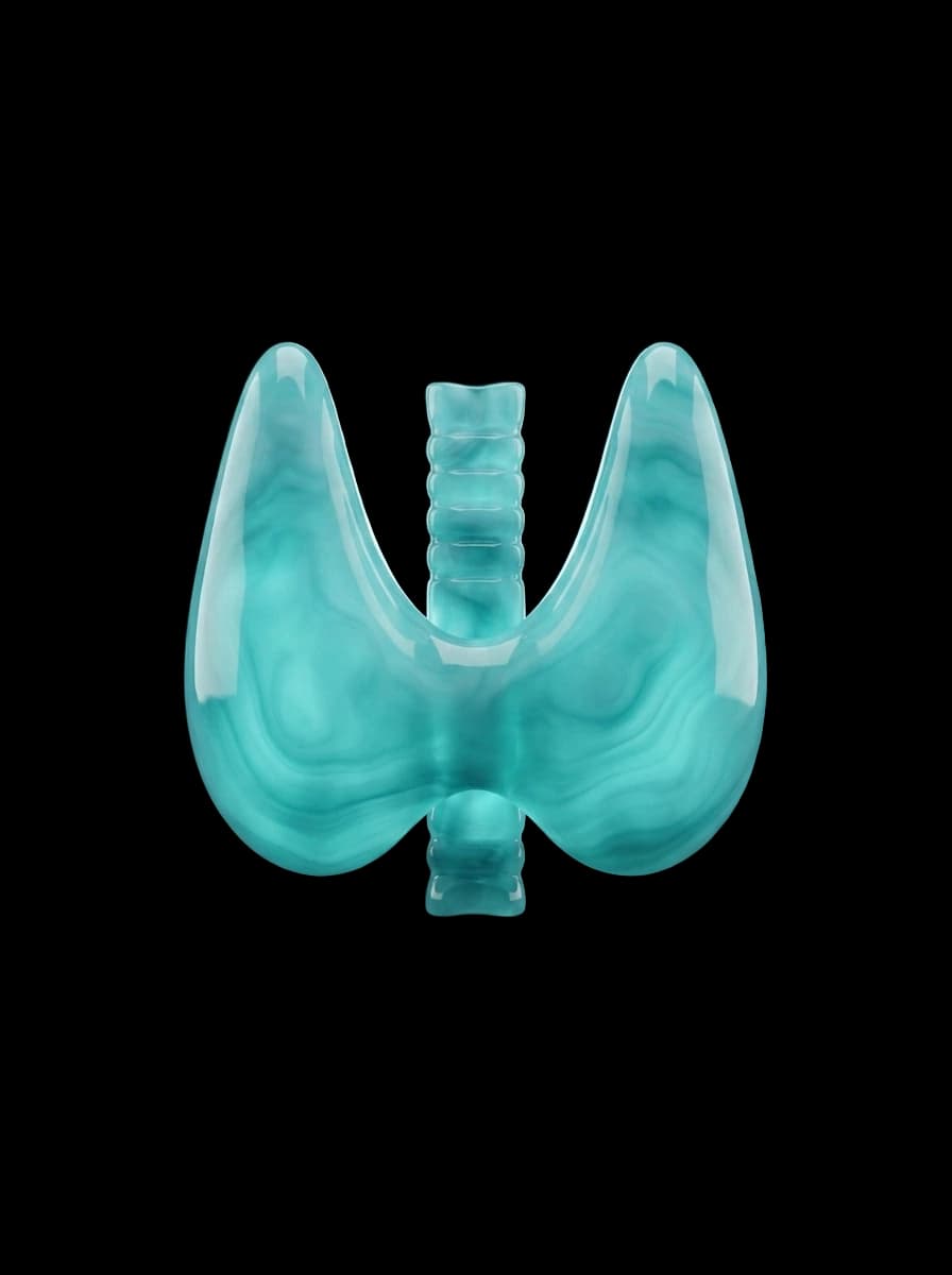 Endocrinologia — glândula tiroide