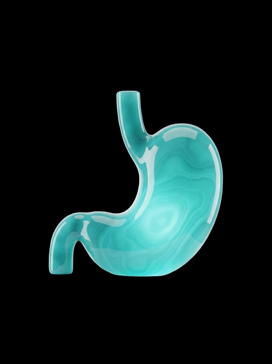 Gastroenterologia — estômago
