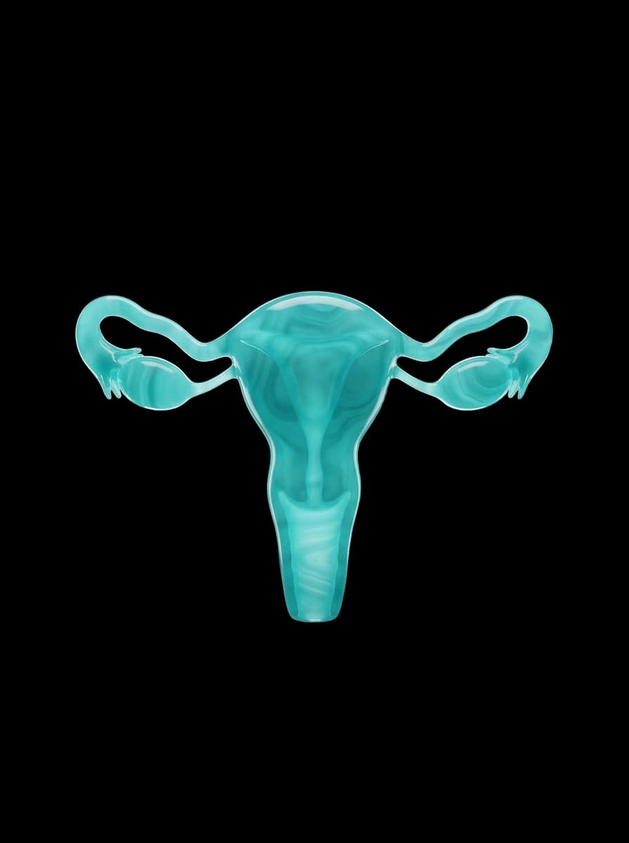 Ginecologia e Obstetrícia — útero