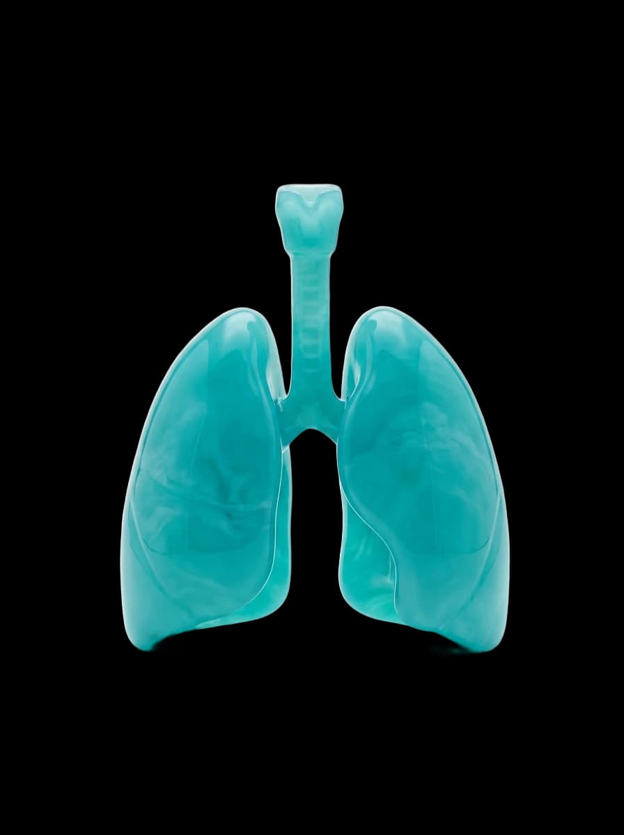 Pneumologia — pulmões